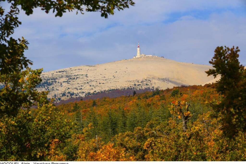 Vue Panoramique Sur Le Chateau,Montagne Et Grottes Фонтен-де-Воклюз Экстерьер фото