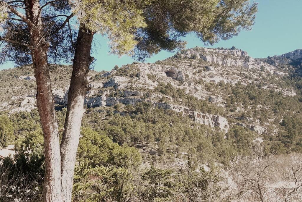 Vue Panoramique Sur Le Chateau,Montagne Et Grottes Фонтен-де-Воклюз Экстерьер фото