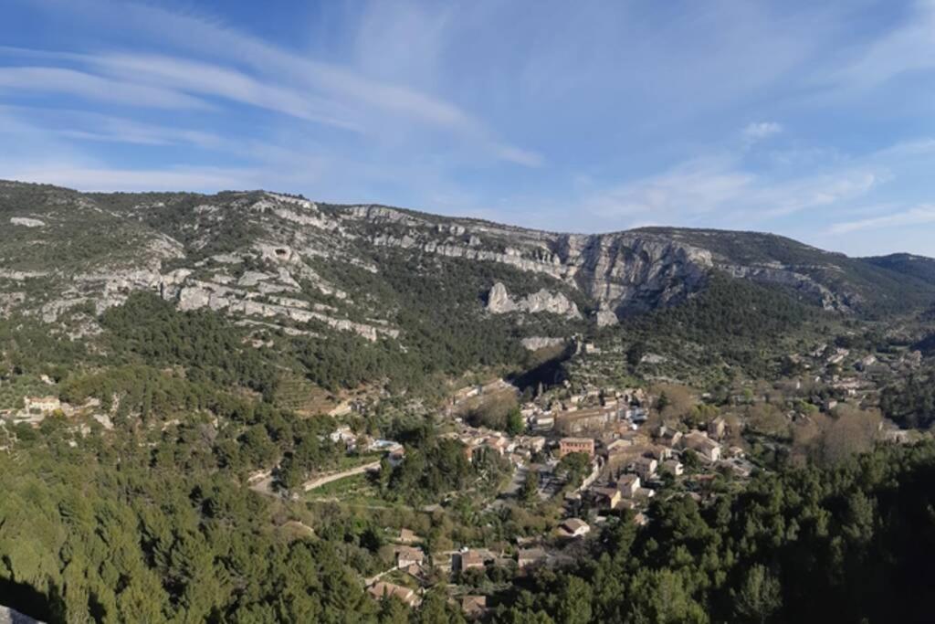 Vue Panoramique Sur Le Chateau,Montagne Et Grottes Фонтен-де-Воклюз Экстерьер фото